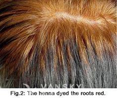 230210135732_Hair-Dying with henna-s.jpg